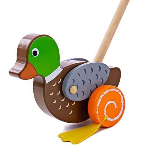Duck Push Along - Hands On Learning