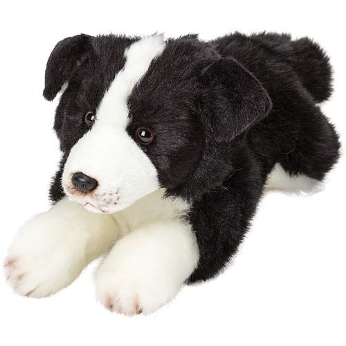 Resting Border Collie - Cozy Bedtime Buddy
