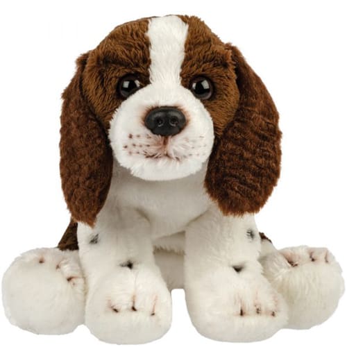 Springer spaniel - Hug Me Friend